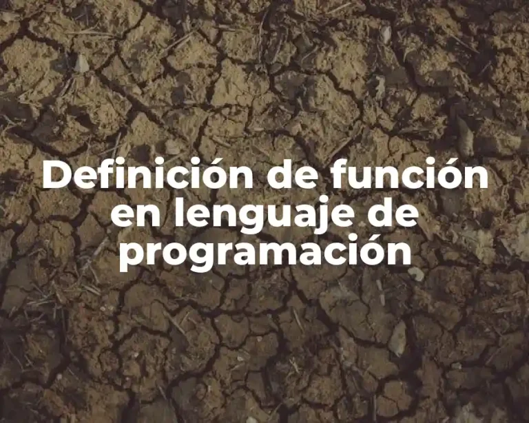 Definición de función en lenguaje de programación