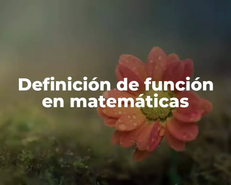 Definición de función en matemáticas