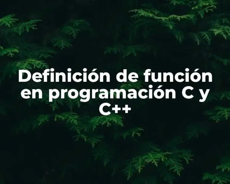 Definición de función en programación C y C++