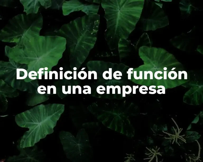 Definición de función en una empresa