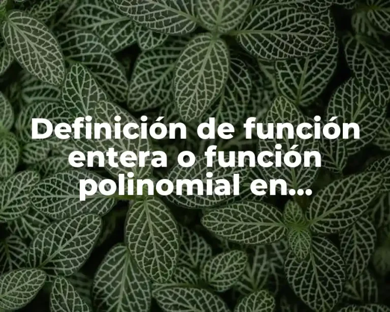 Definición de función entera o función polinomial en matemáticas