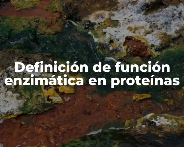 Definición de función enzimática en proteínas