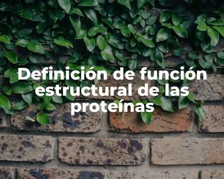Definición de función estructural de las proteínas