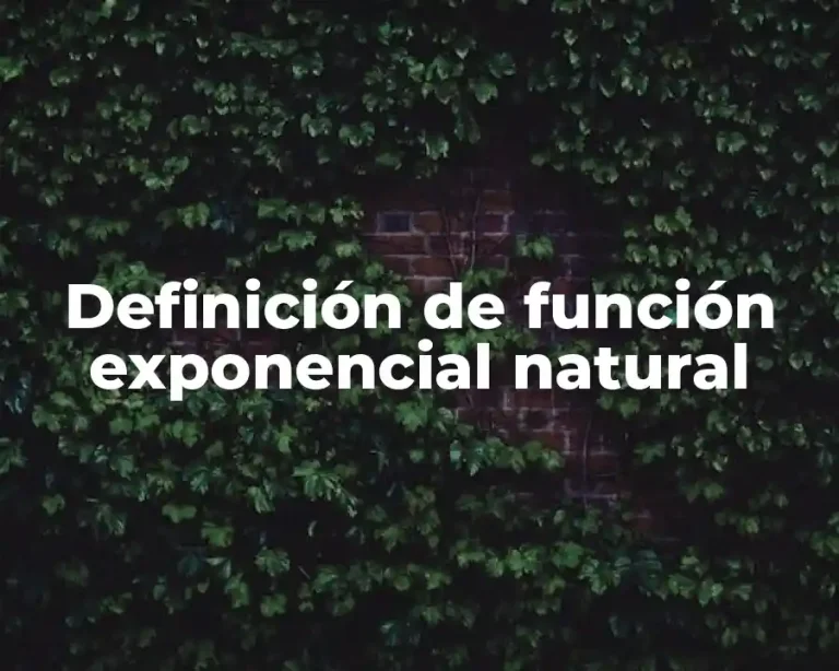 Definición de función exponencial natural