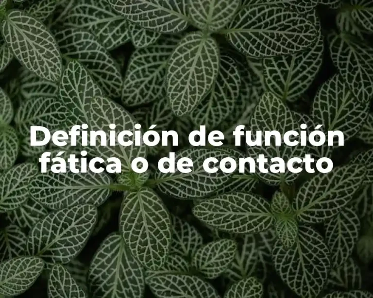 Definición de función fática o de contacto