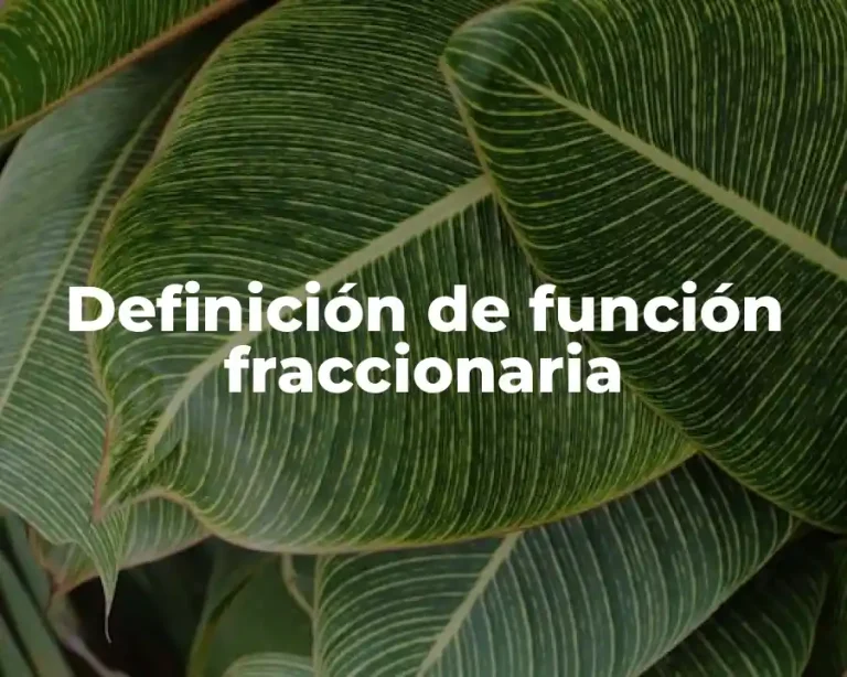 Definición de función fraccionaria