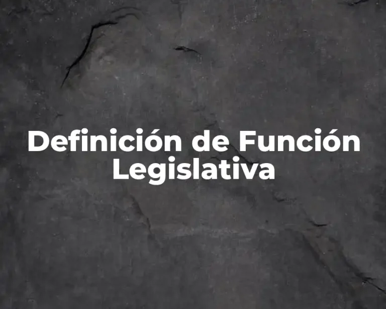 Definición de Función Legislativa