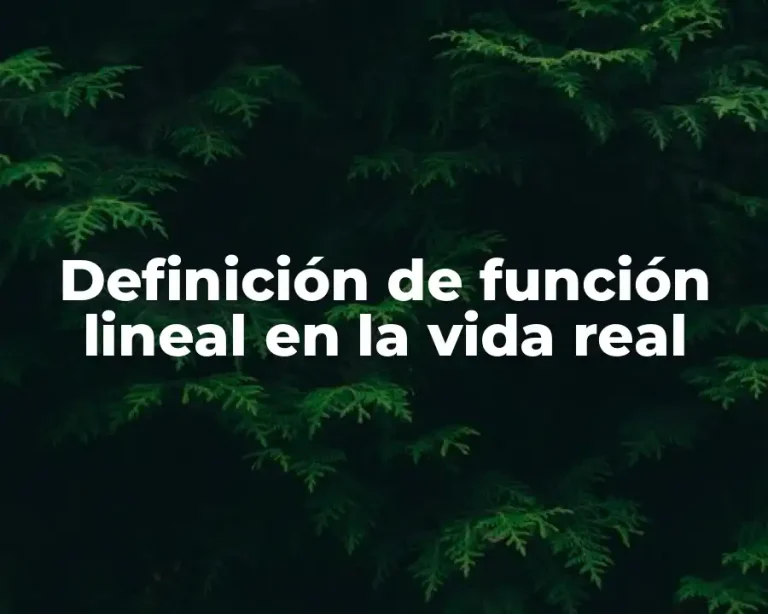 Definición de función lineal en la vida real
