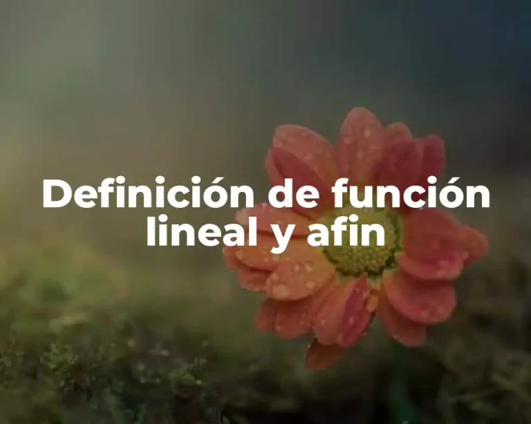 Definición de función lineal y afin