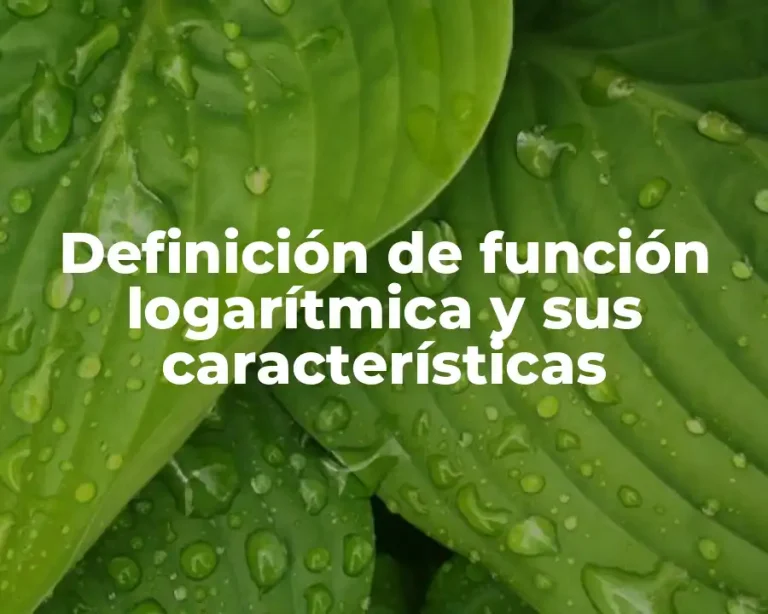 Definición de función logarítmica y sus características
