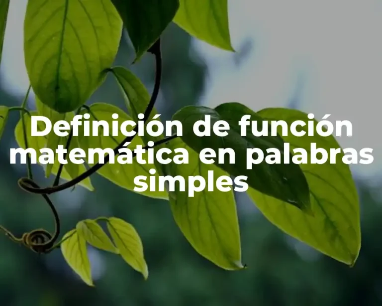 Definición de función matemática en palabras simples