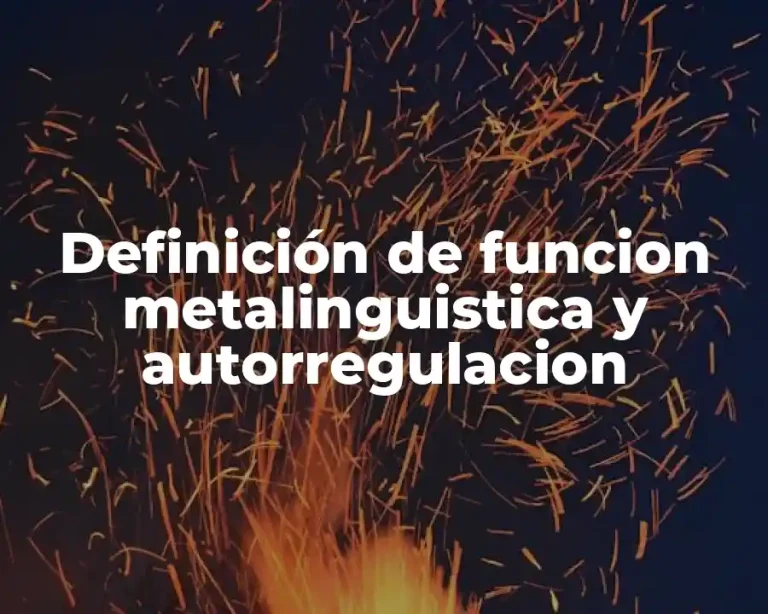 Definición de funcion metalinguistica y autorregulacion