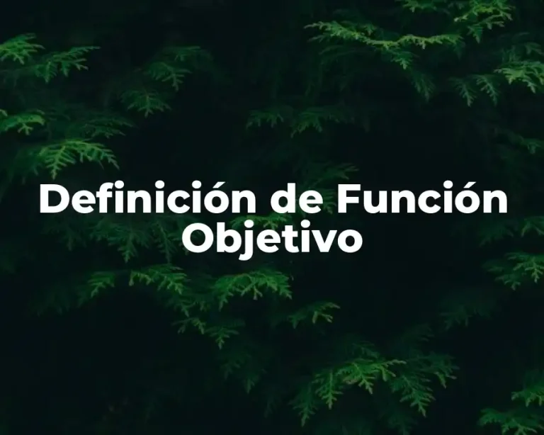 Definición de Función Objetivo