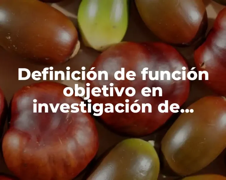 Definición de función objetivo en investigación de operaciones