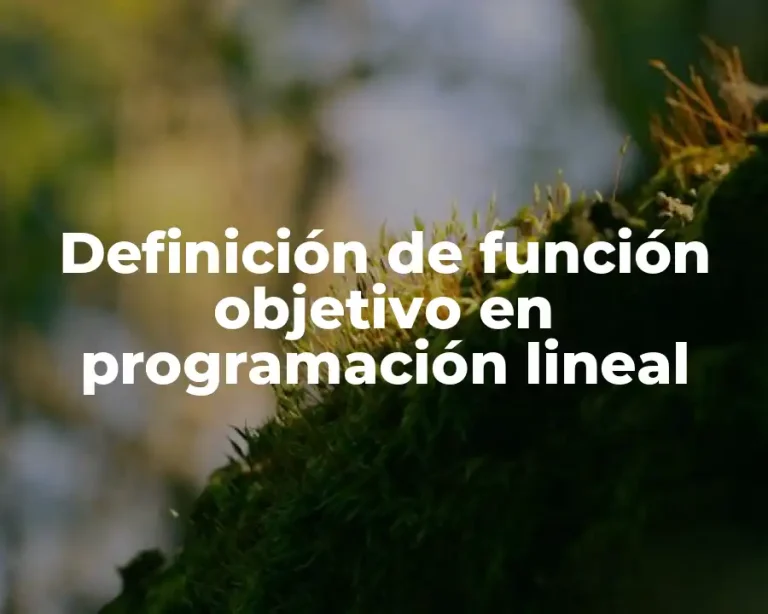 Definición de función objetivo en programación lineal