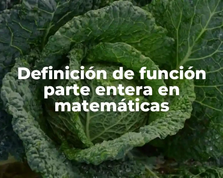 Definición de función parte entera en matemáticas