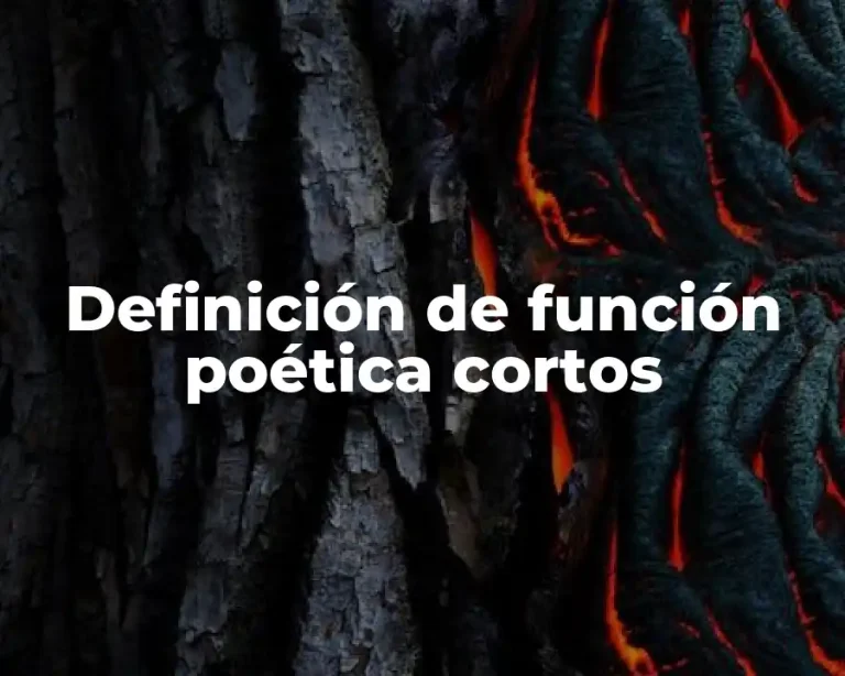 Definición de función poética cortos