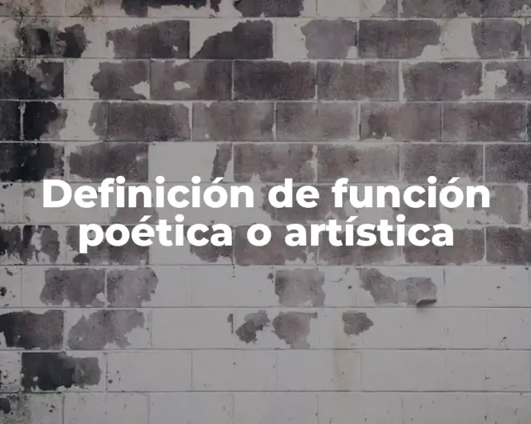 Definición de función poética o artística