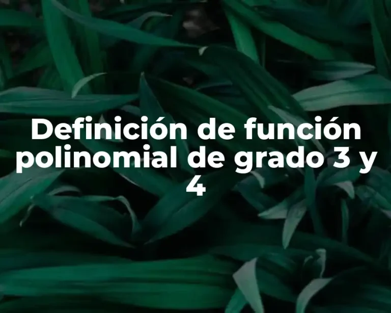 Definición de función polinomial de grado 3 y 4