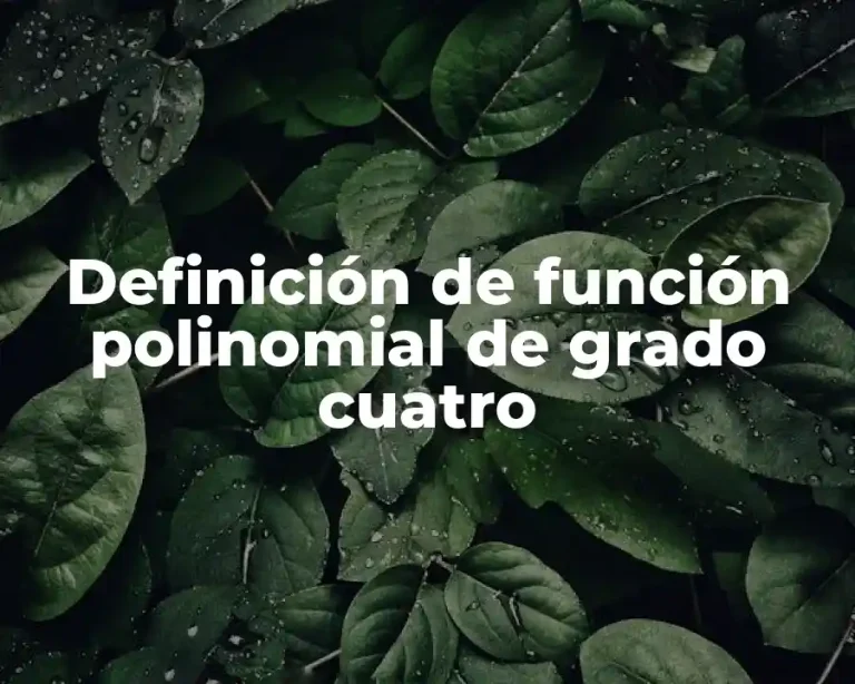 Definición de función polinomial de grado cuatro