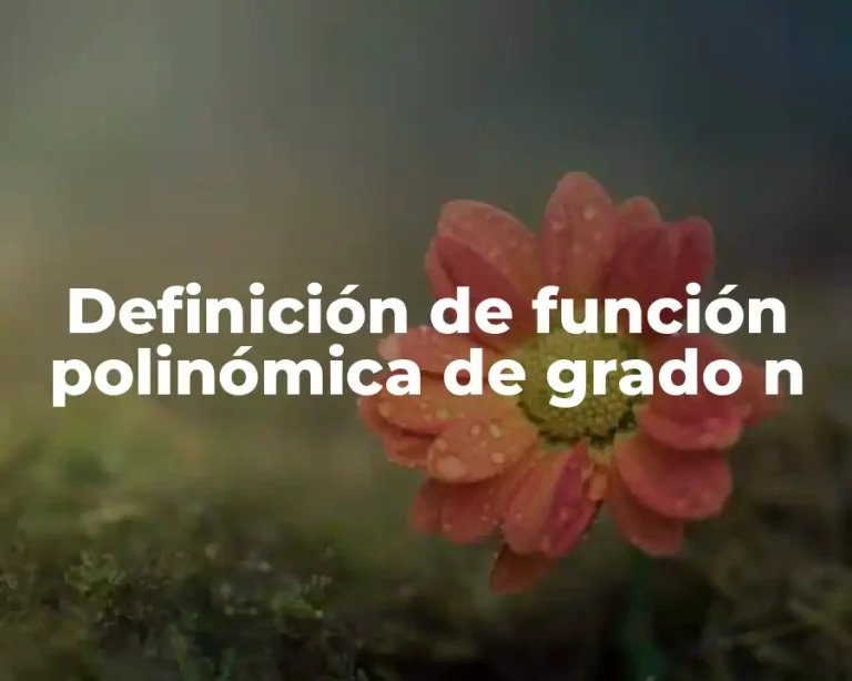Definición de función polinómica de grado n