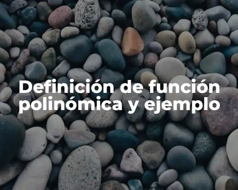 Definición de función polinómica y ejemplo