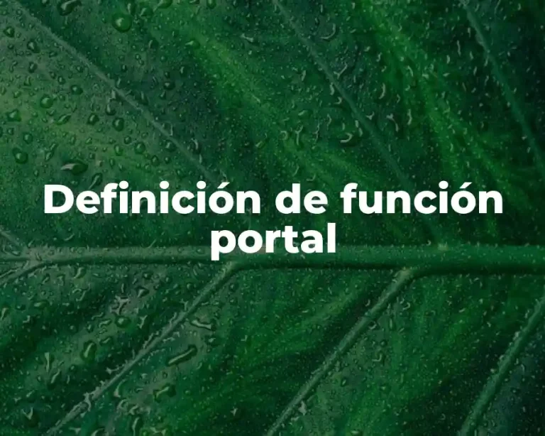 Definición de función portal