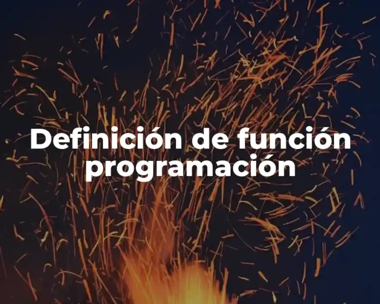 Definición de función programación