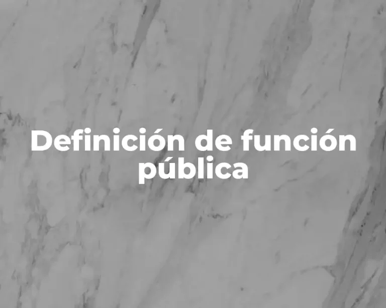 Definición de función pública