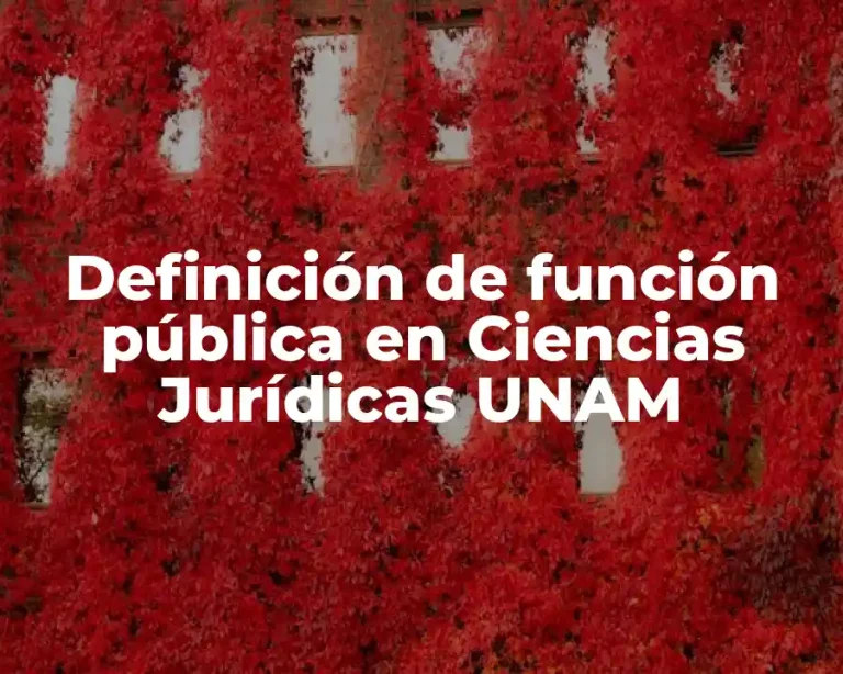 Definición de función pública en Ciencias Jurídicas UNAM
