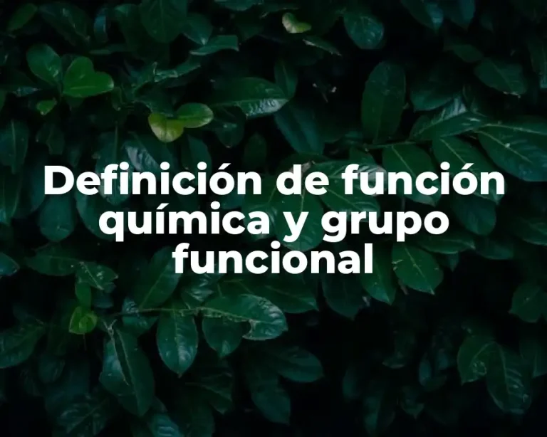 Definición de función química y grupo funcional