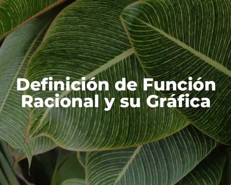 Definición de Función Racional y su Gráfica