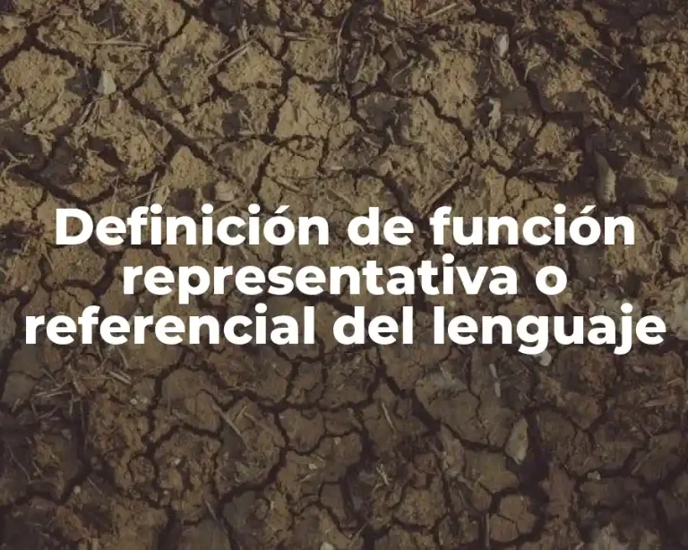 Definición de función representativa o referencial del lenguaje