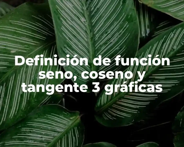 Definición de función seno, coseno y tangente 3 gráficas