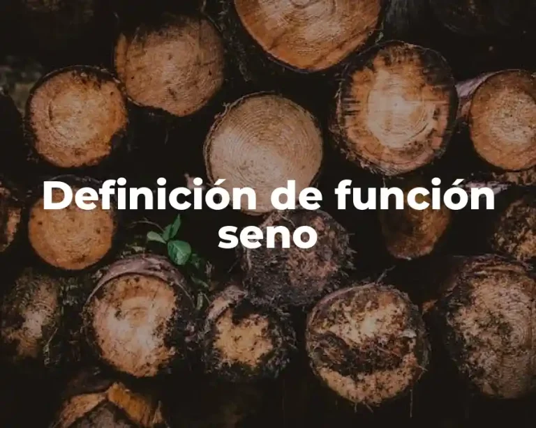 Definición de función seno