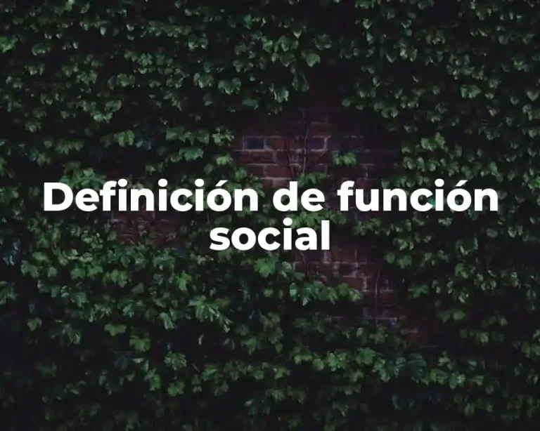Definición de función social