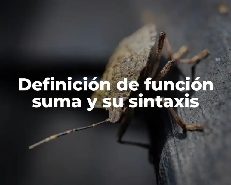 Definición de función suma y su sintaxis