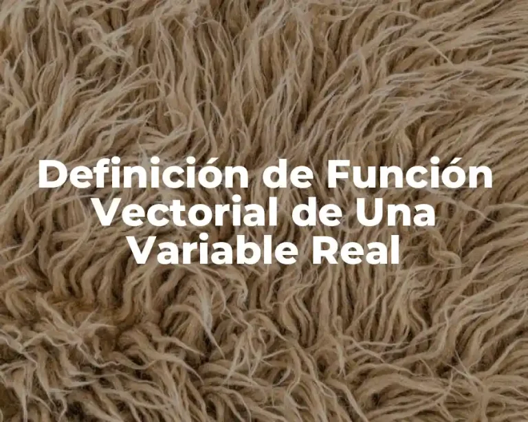 Definición de Función Vectorial de Una Variable Real