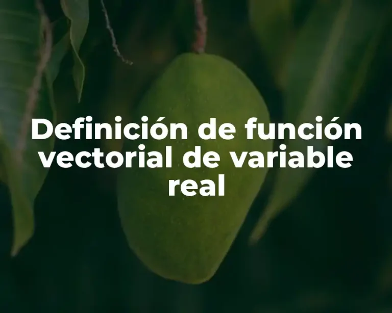 Definición de función vectorial de variable real
