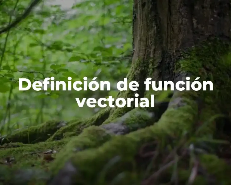 Definición de función vectorial