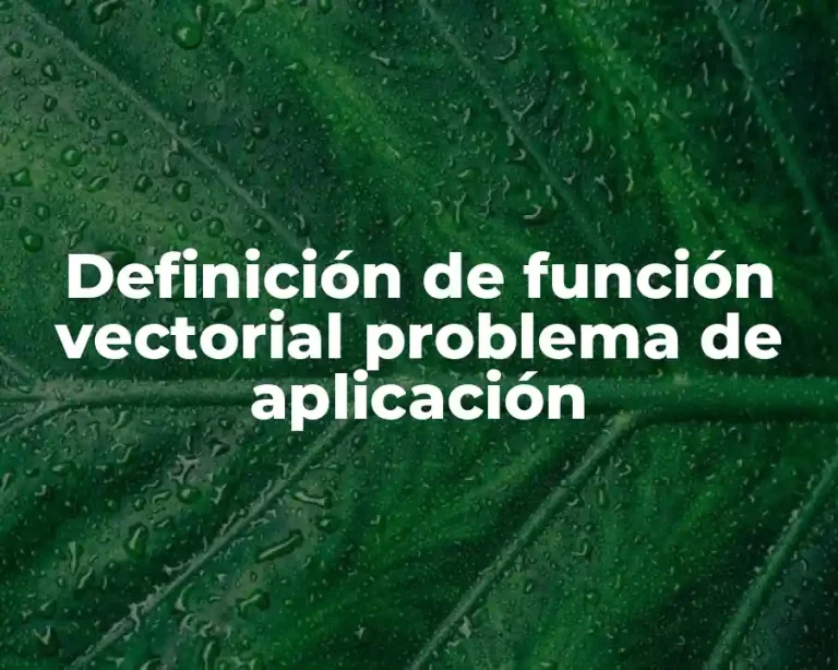 Definición de función vectorial problema de aplicación