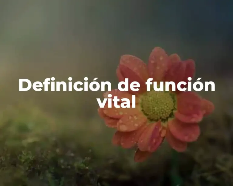 Definición de función vital
