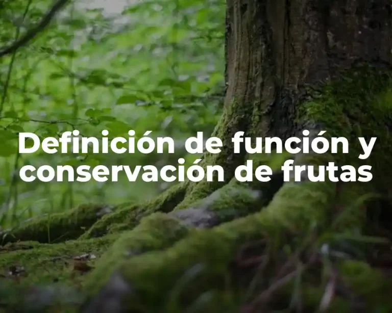 Definición de función y conservación de frutas