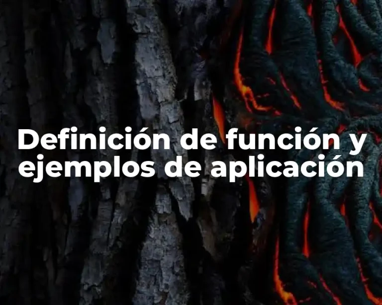 Definición de función y ejemplos de aplicación