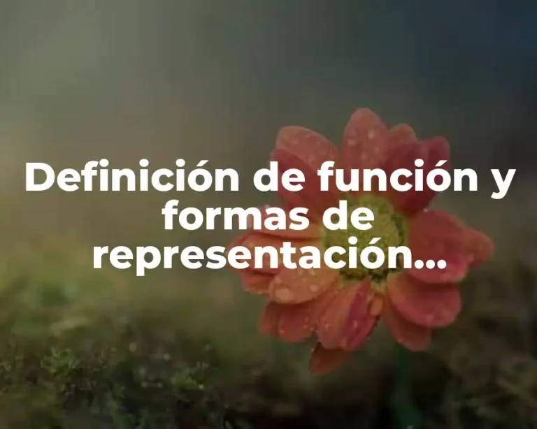 Definición de función y formas de representación matemáticas