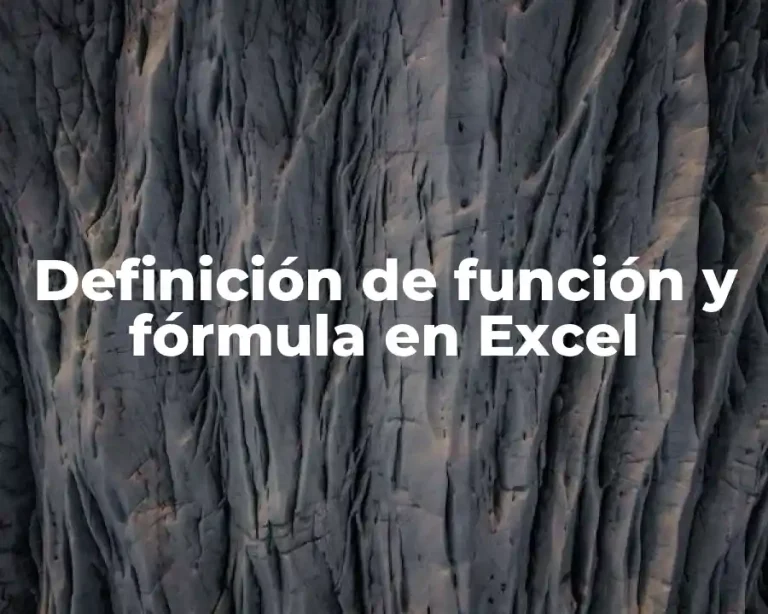 Definición de función y fórmula en Excel