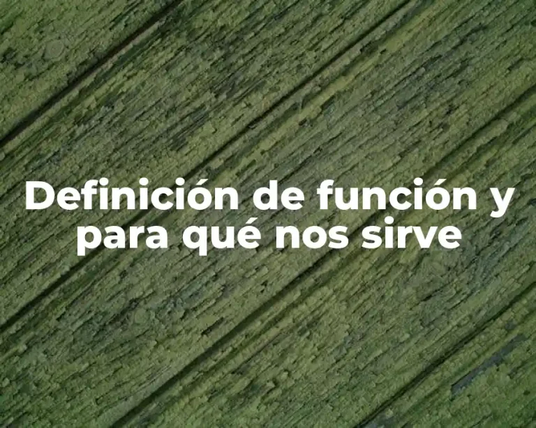 Definición de función y para qué nos sirve