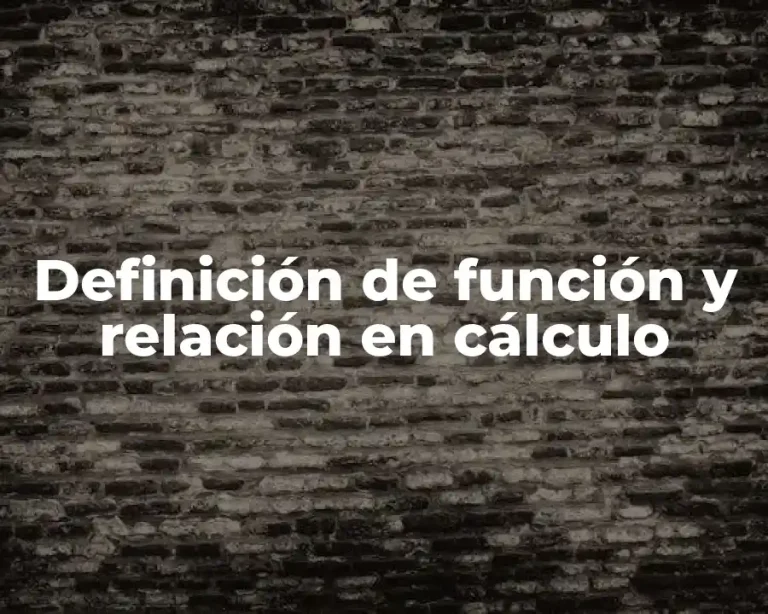 Definición de función y relación en cálculo