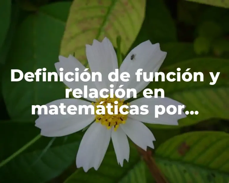 Definición de función y relación en matemáticas por separado