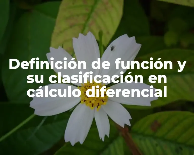 Definición de función y su clasificación en cálculo diferencial